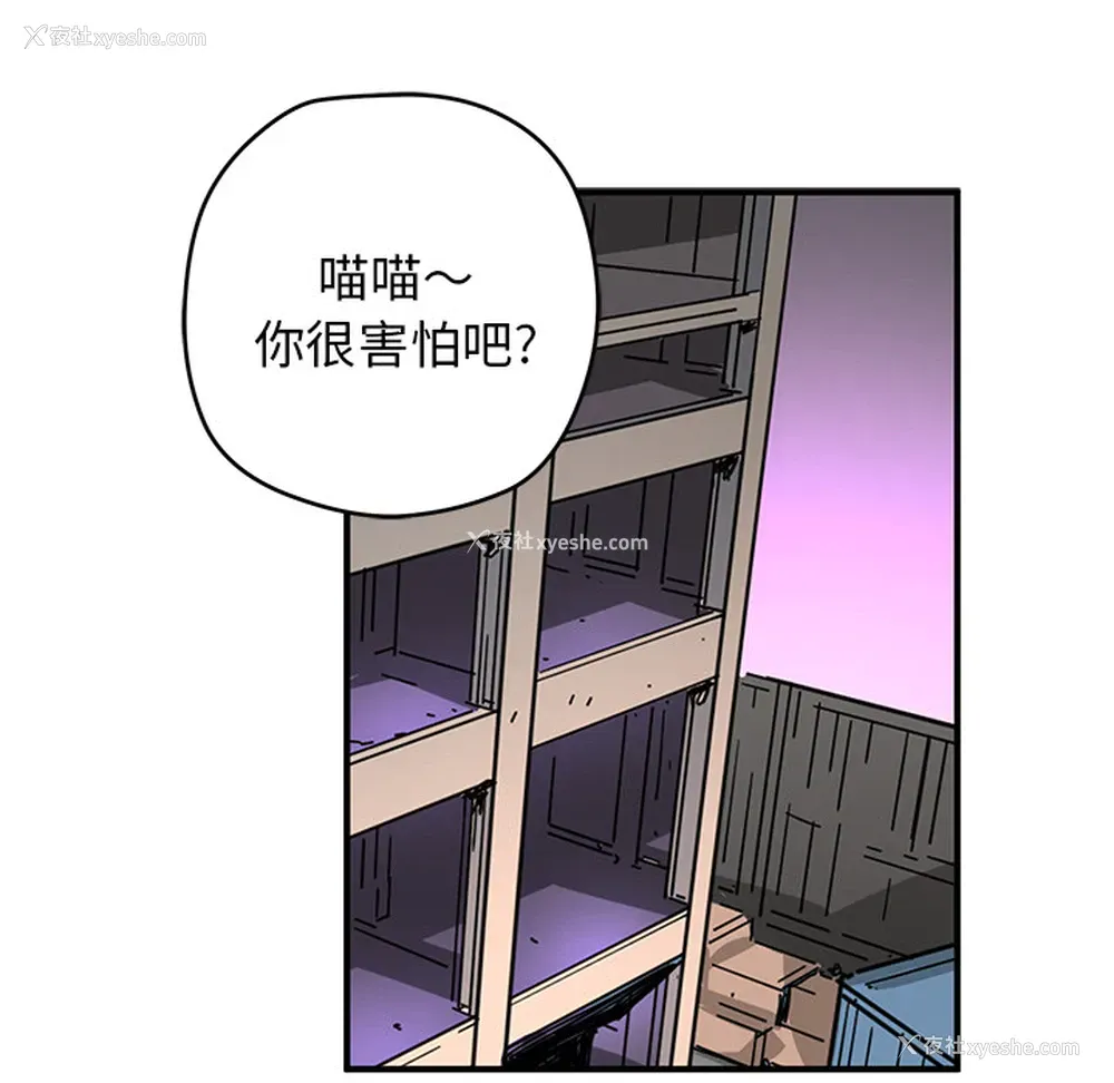 56P - 小白历险记