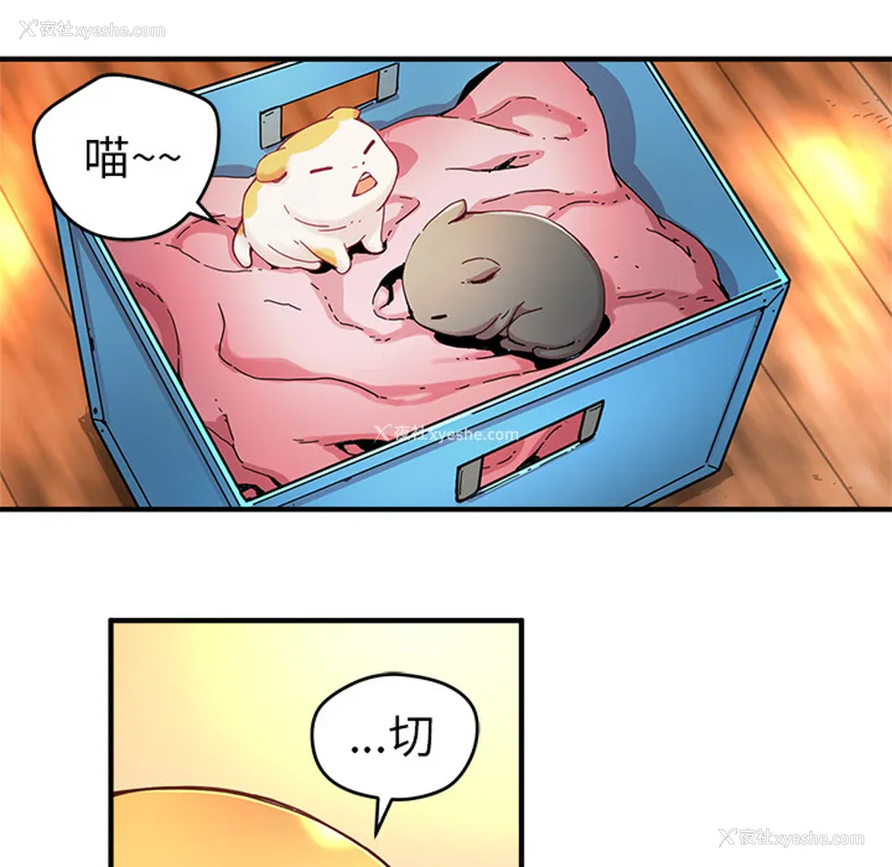 7P - 小白历险记