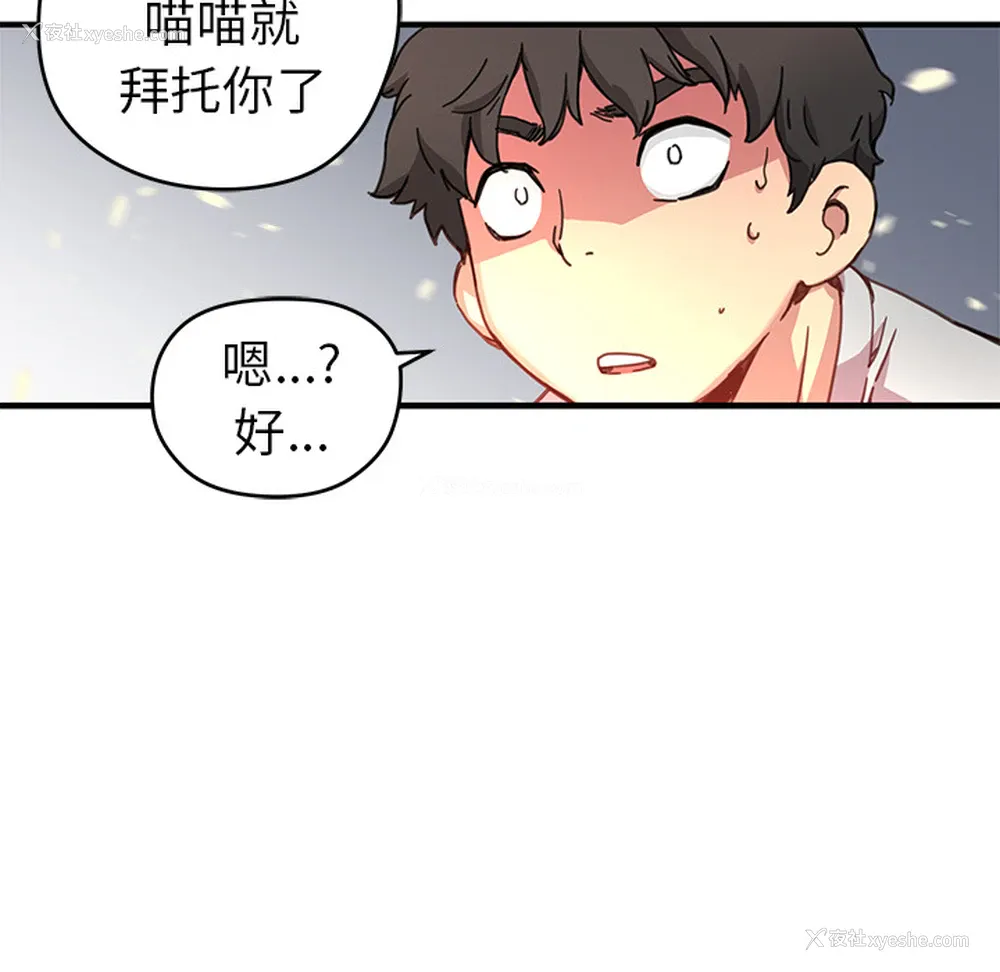 71P - 小白历险记