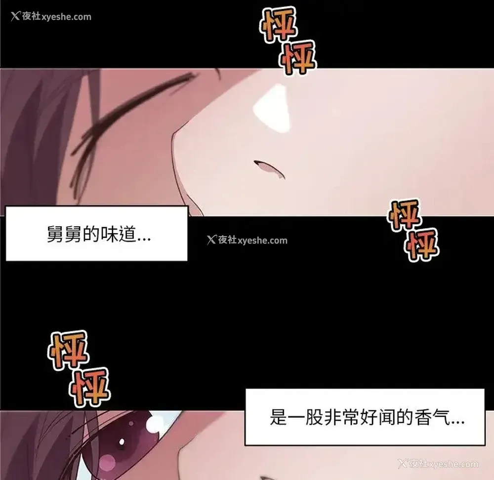40P - 恋你如初恋
