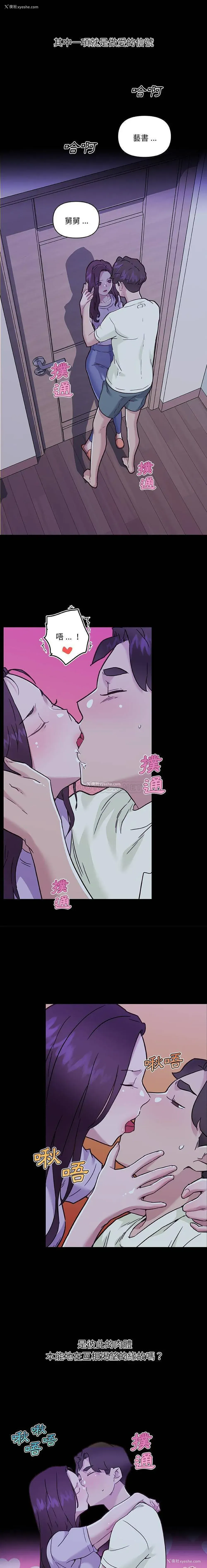 14P - 恋你如初恋