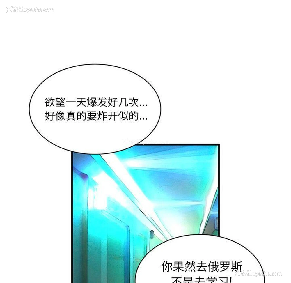 51P - 深夜用品店