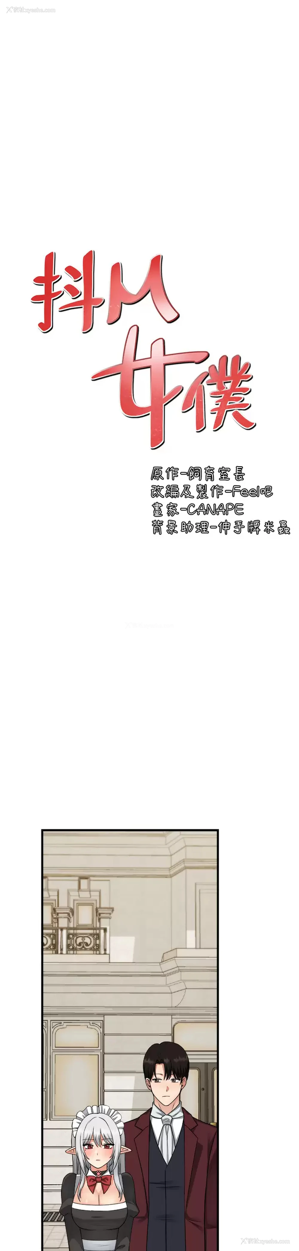 29P - 抖M女仆
