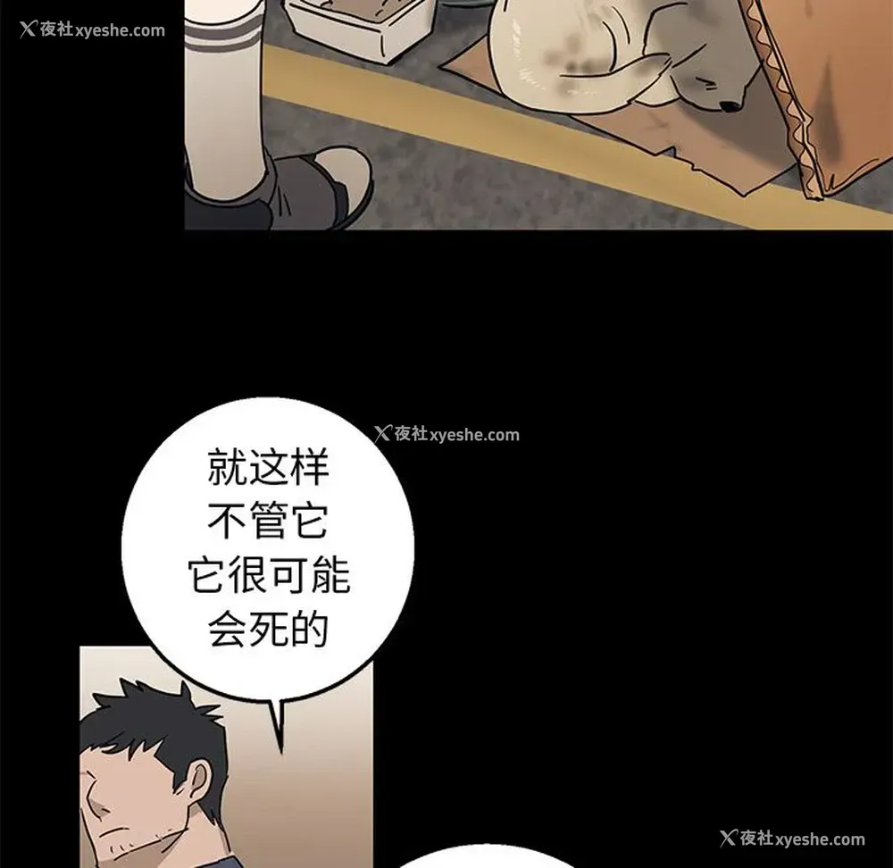31P - 牵我手好吗？