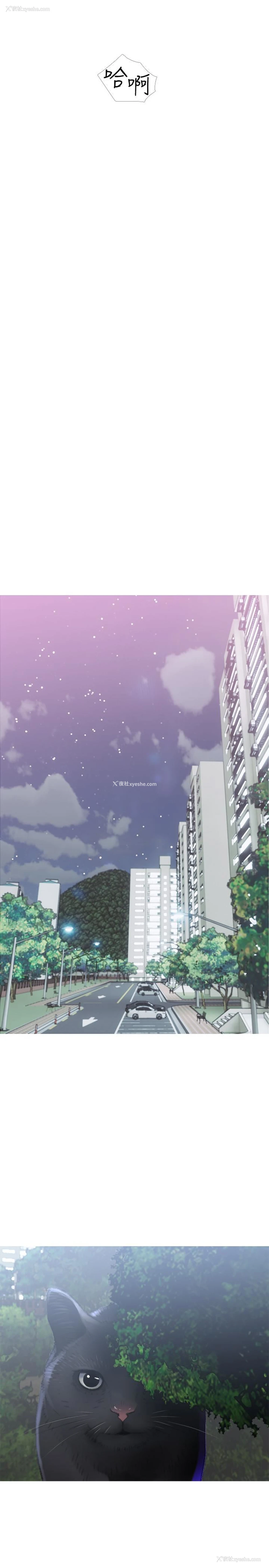 13P - 主妇危机