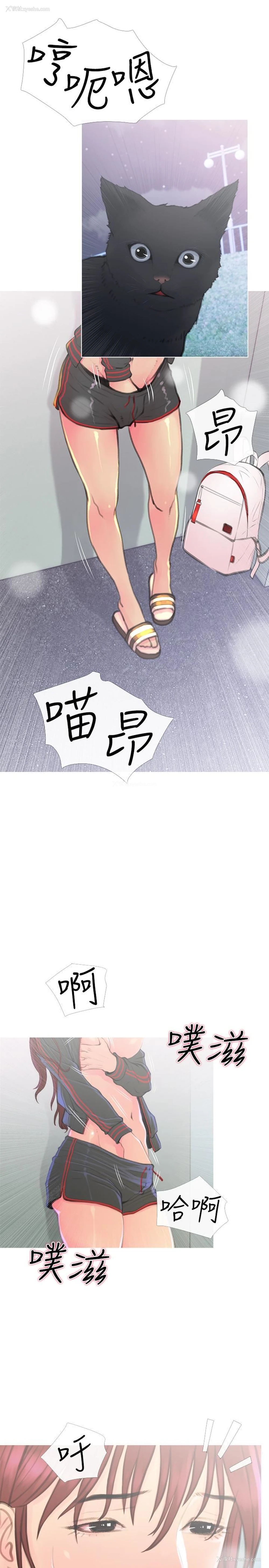 4P - 主妇危机