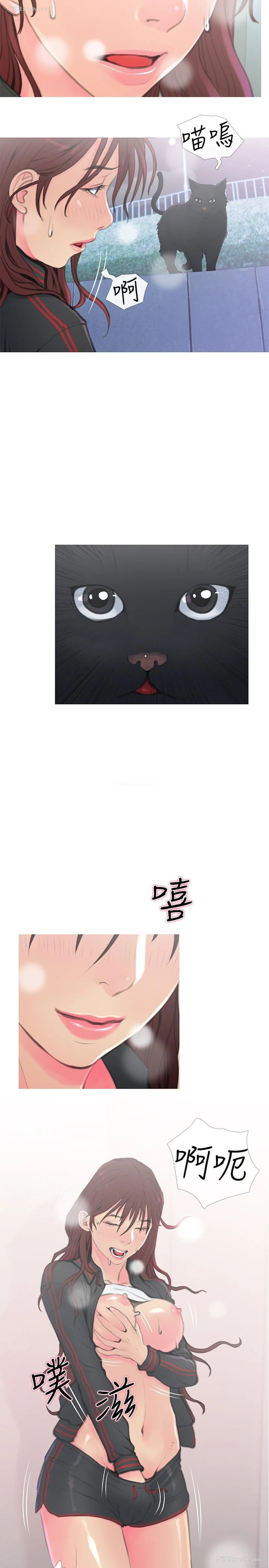 5P - 主妇危机
