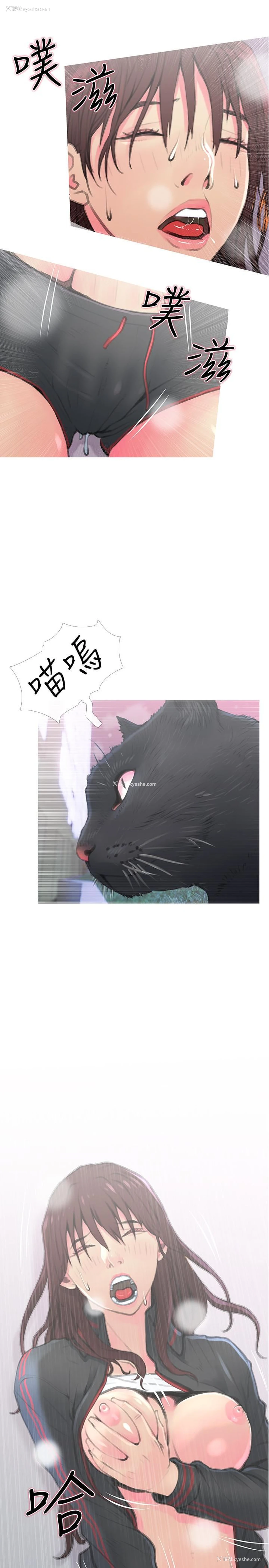 7P - 主妇危机