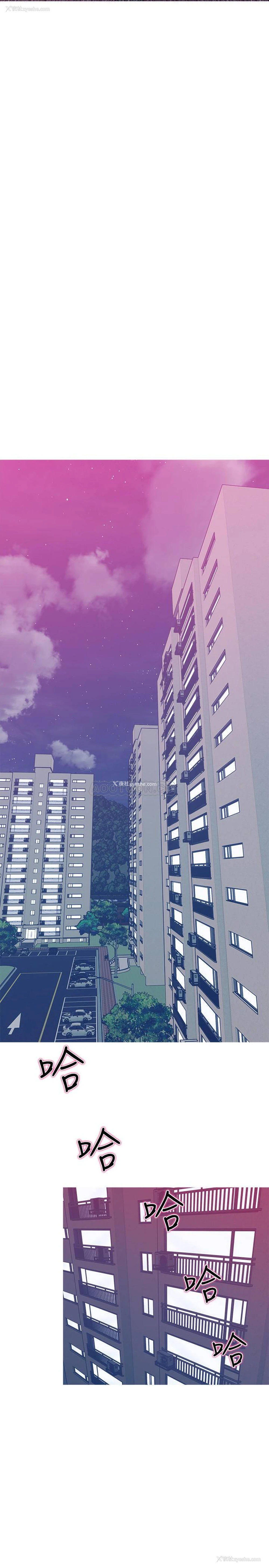 11P - 主妇危机