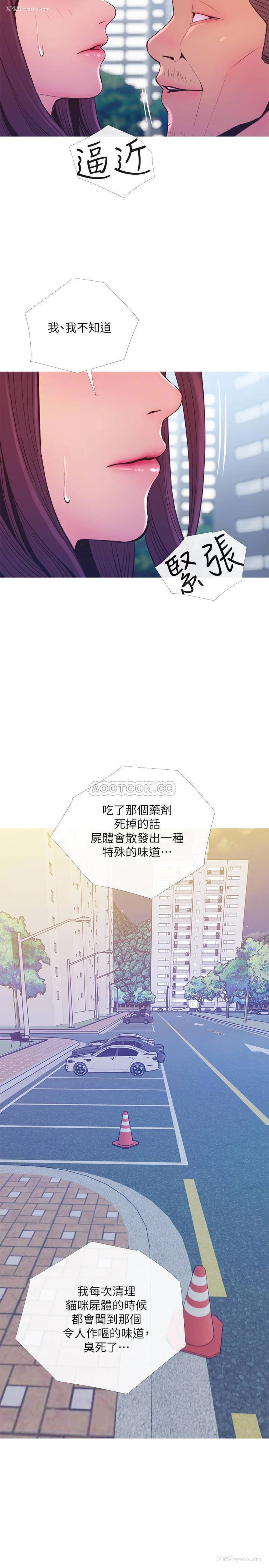 23P - 主妇危机