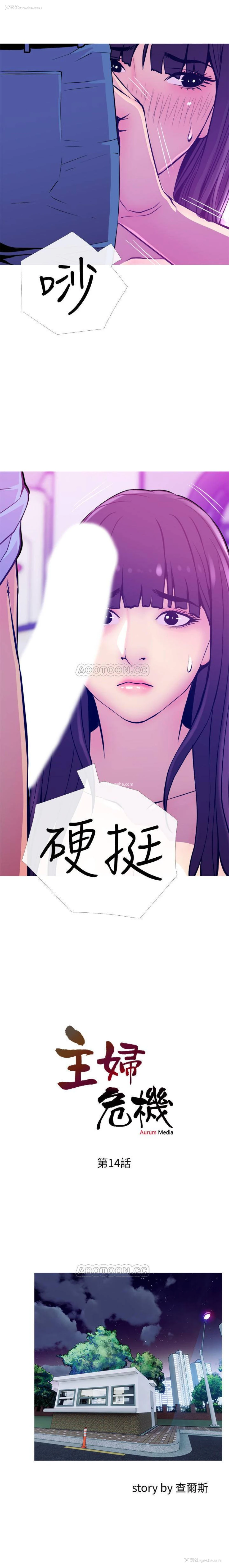 2P - 主妇危机