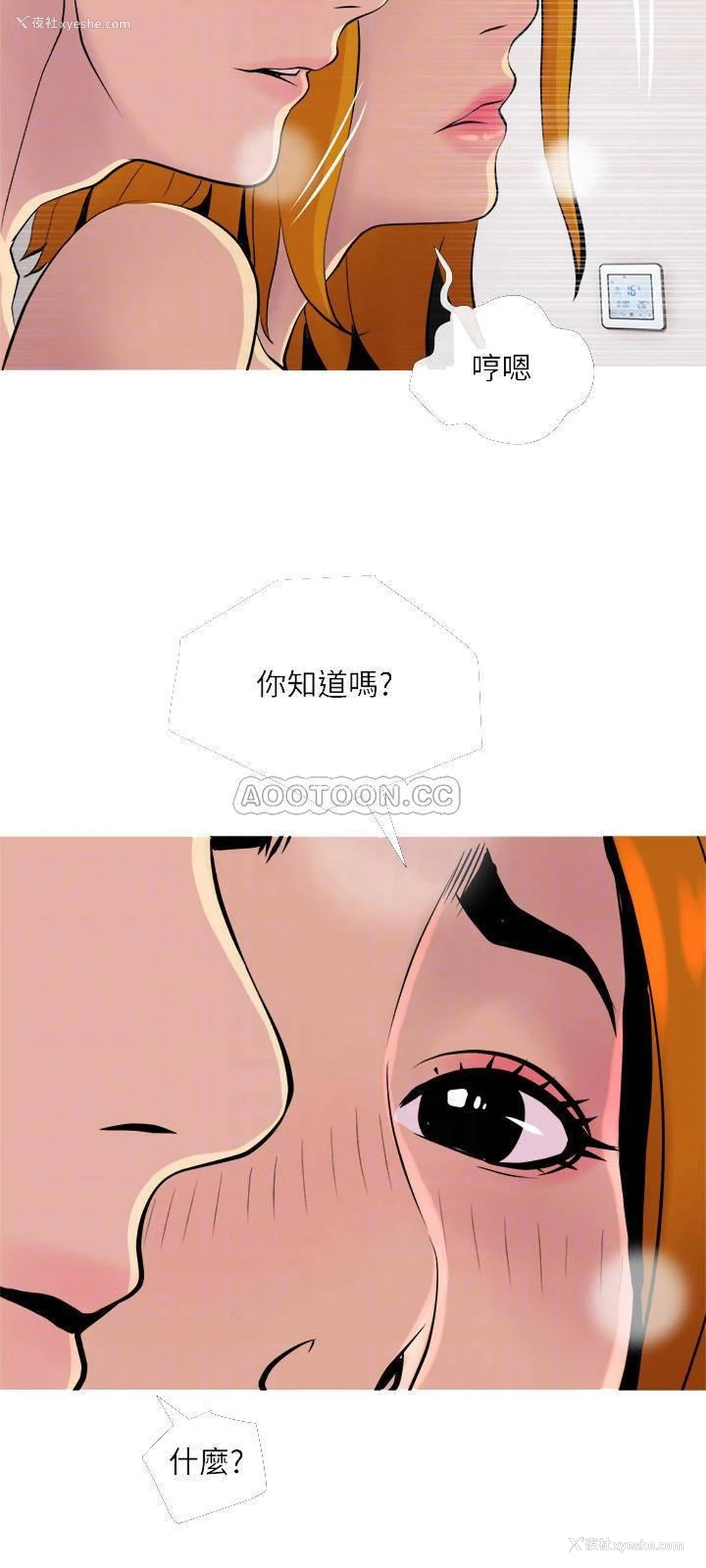 18P - 主妇危机