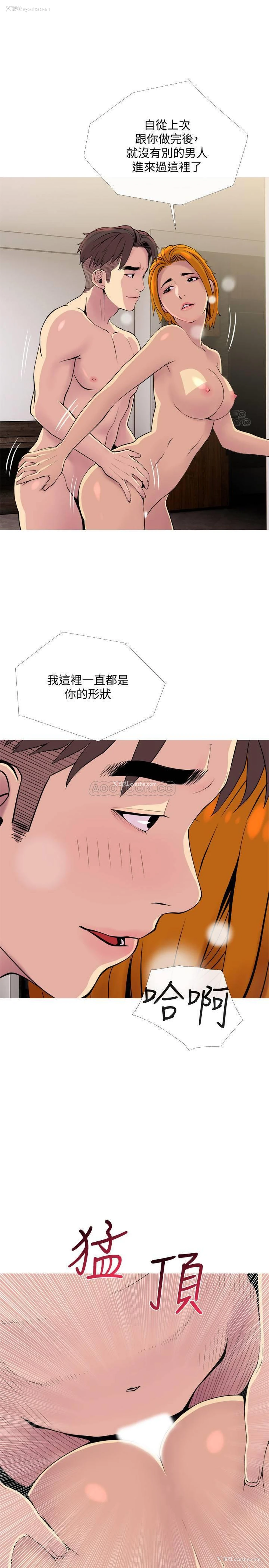 19P - 主妇危机