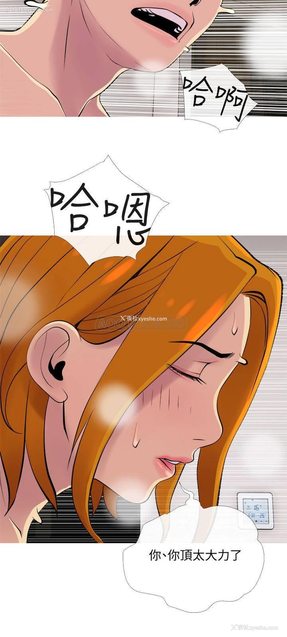 21P - 主妇危机