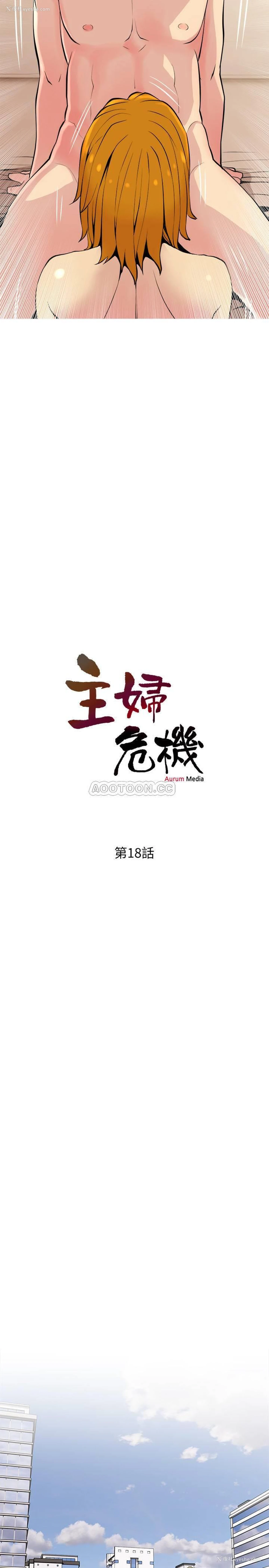 2P - 主妇危机