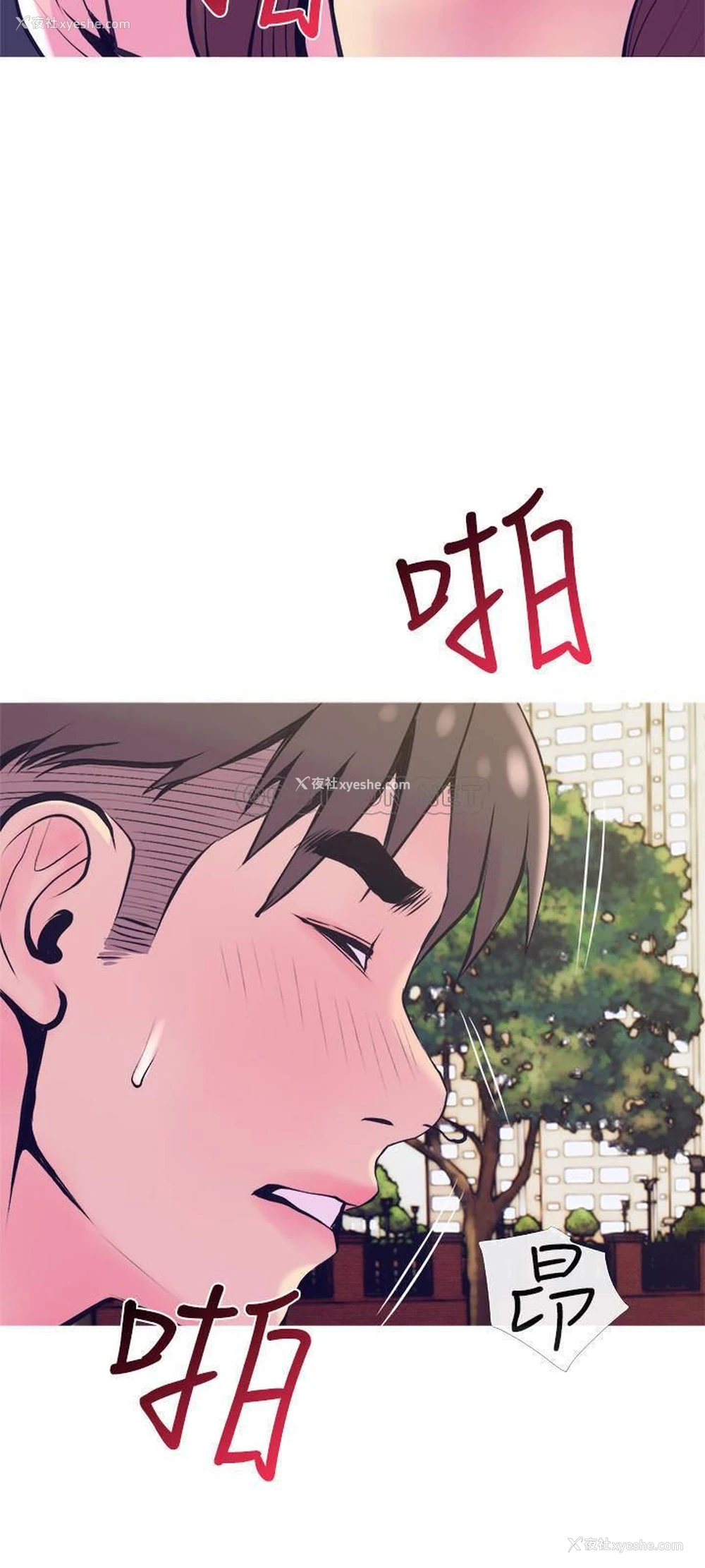 21P - 主妇危机