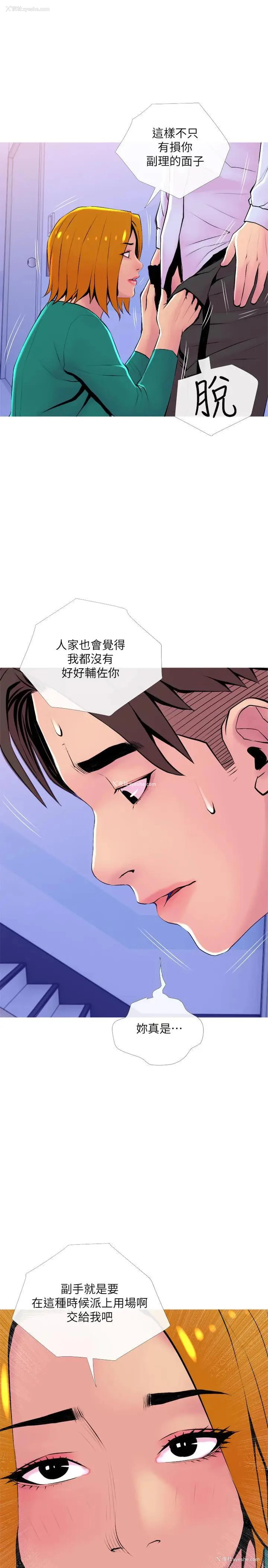 28P - 主妇危机