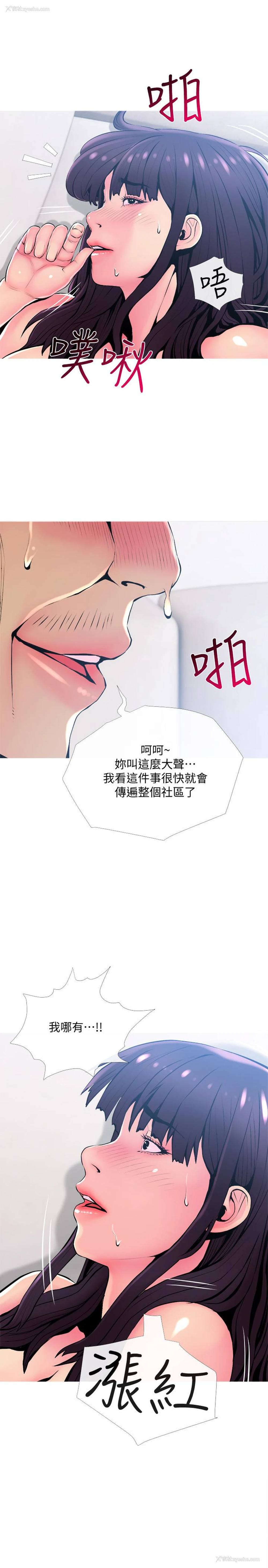 19P - 主妇危机