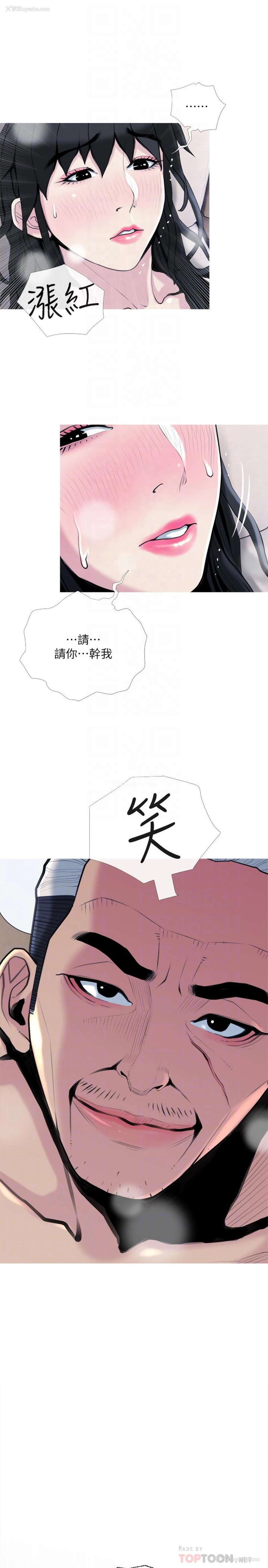 16P - 主妇危机