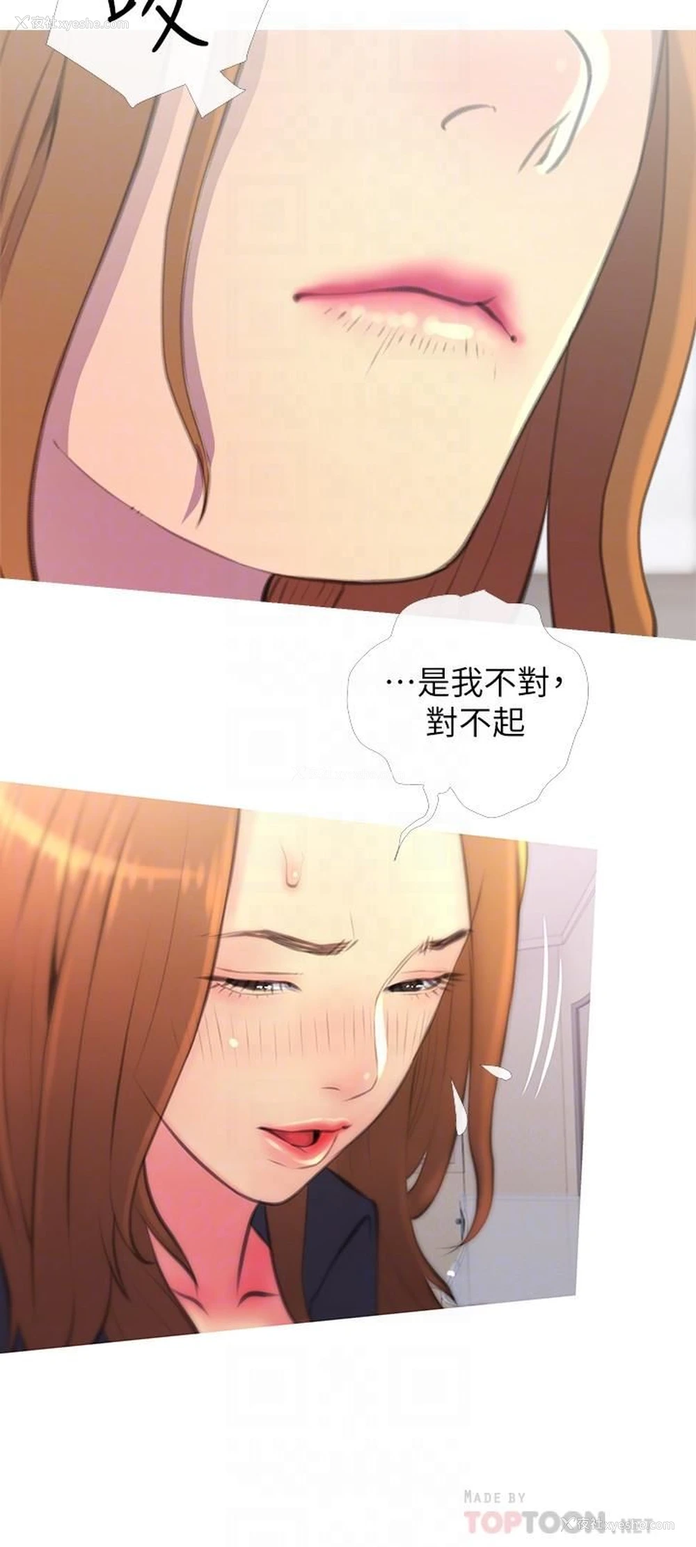 12P - 主妇危机