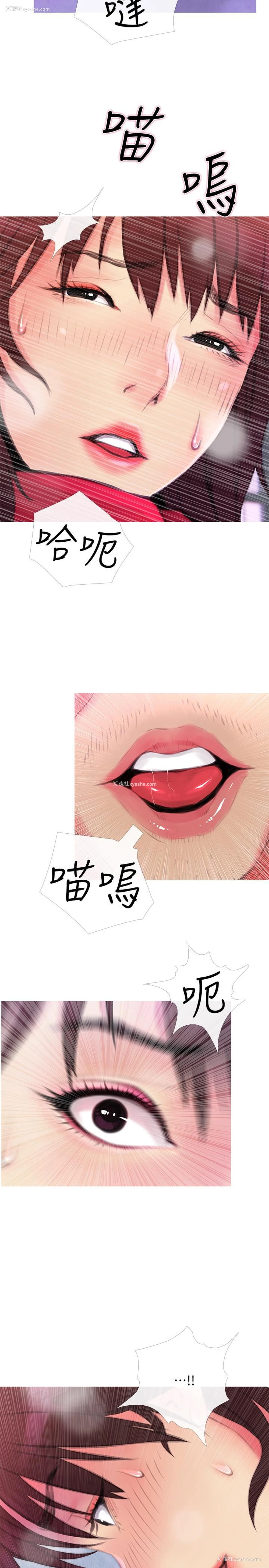 29P - 主妇危机