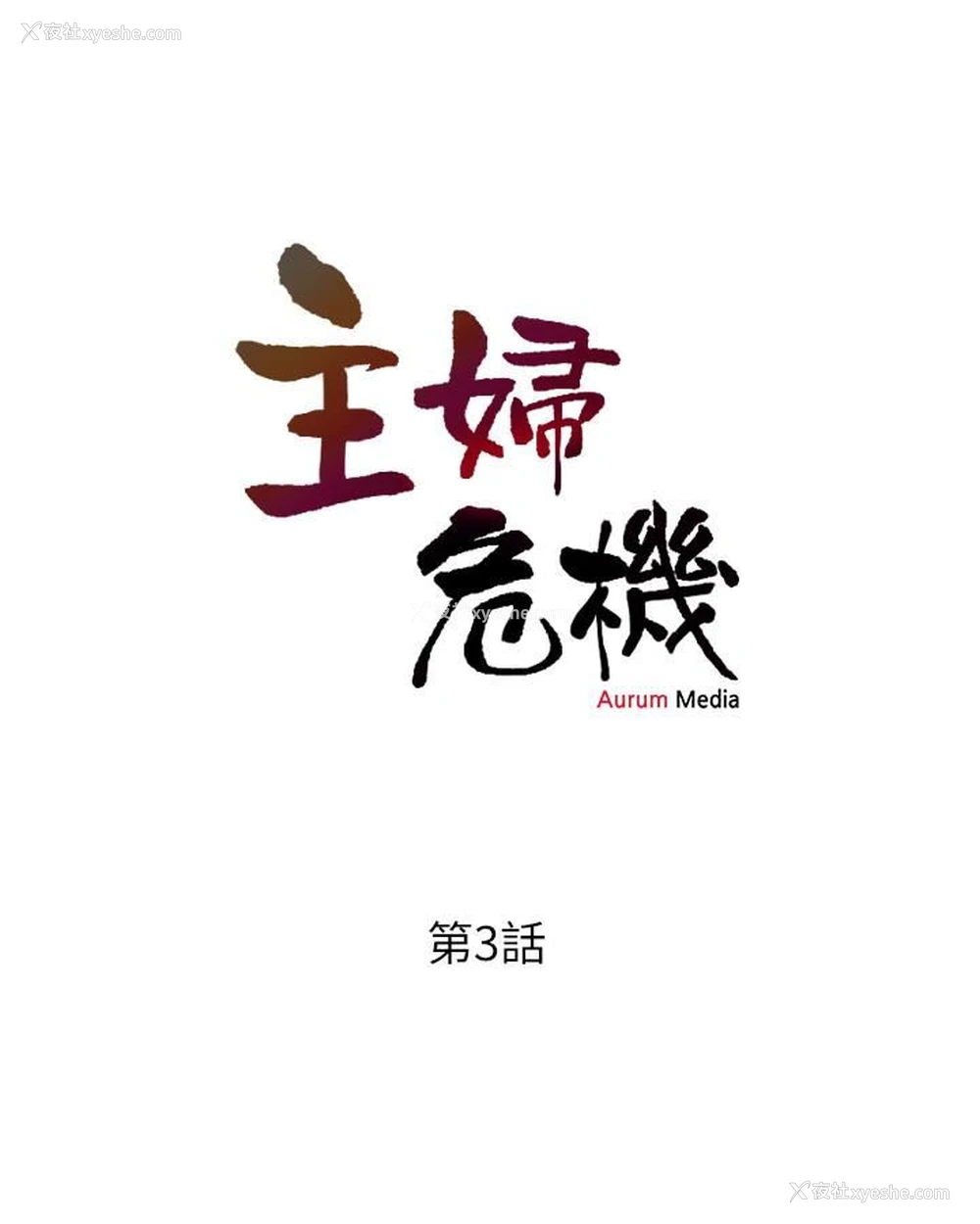 3P - 主妇危机