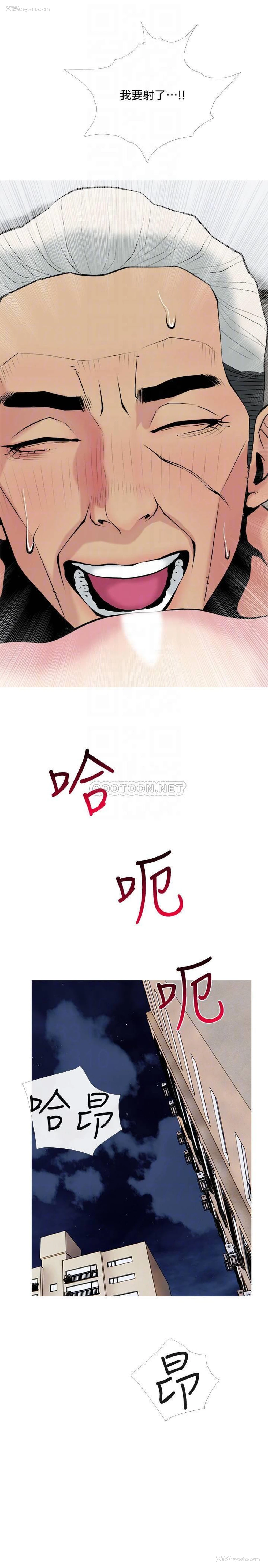 4P - 主妇危机