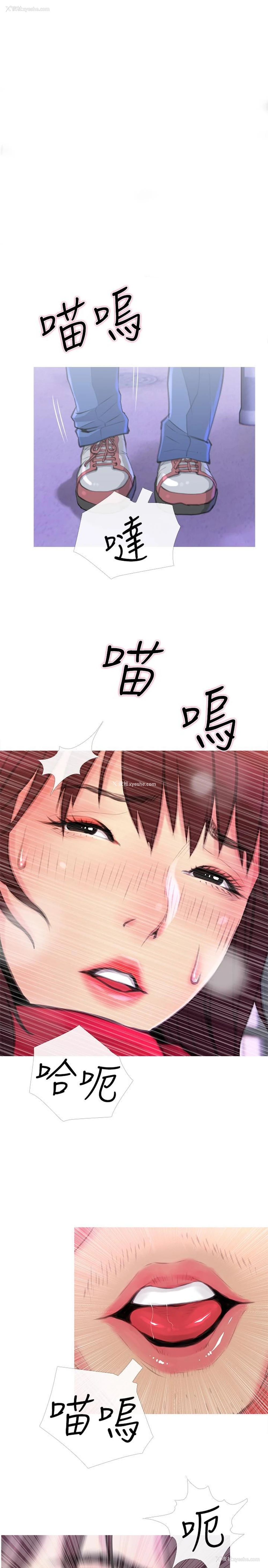 1P - 主妇危机