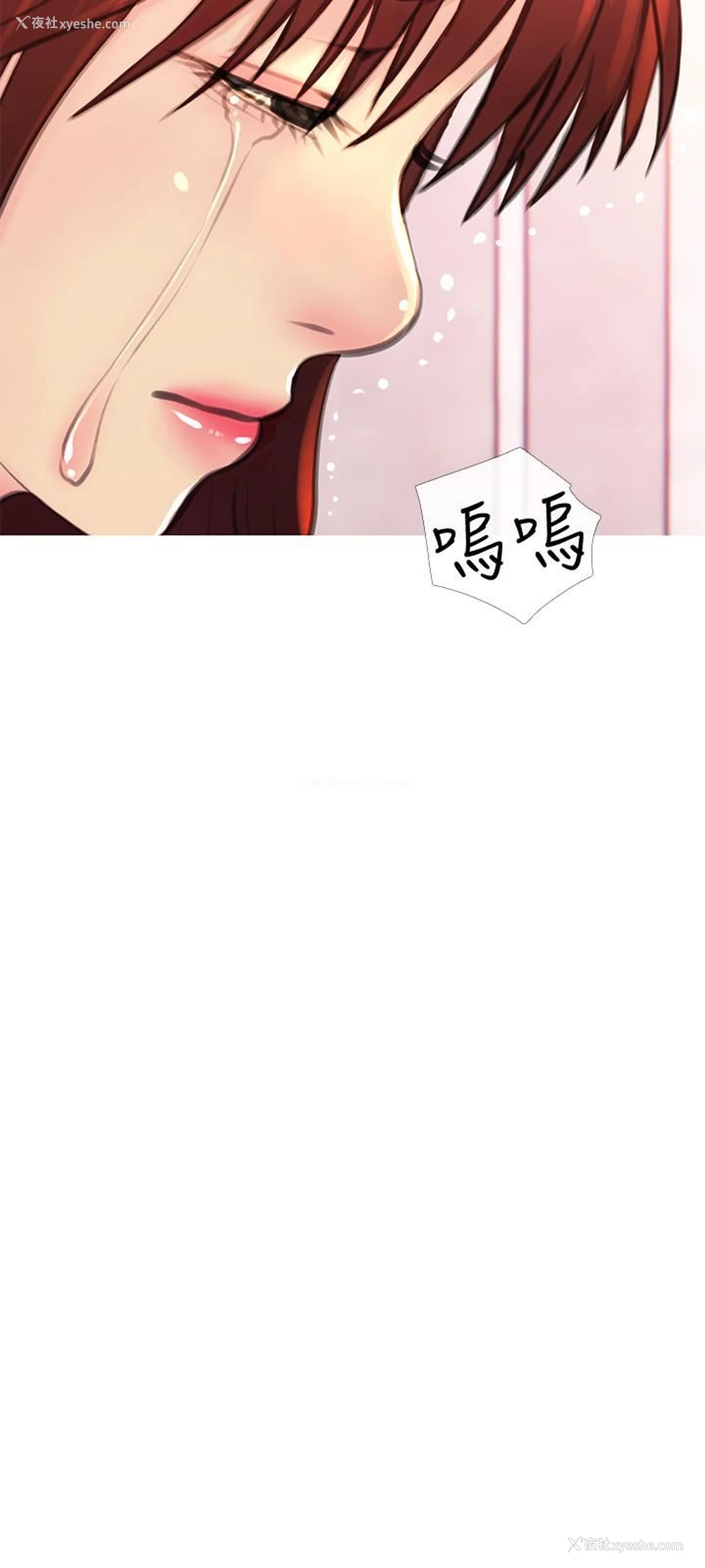 21P - 主妇危机