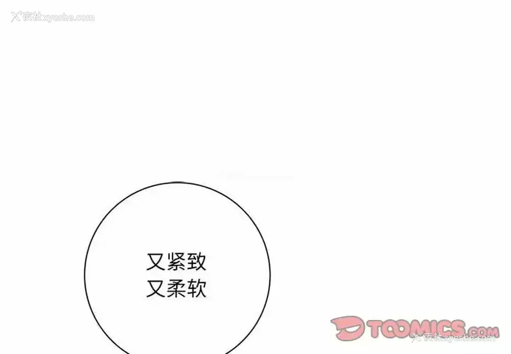 4P - 爱上助手