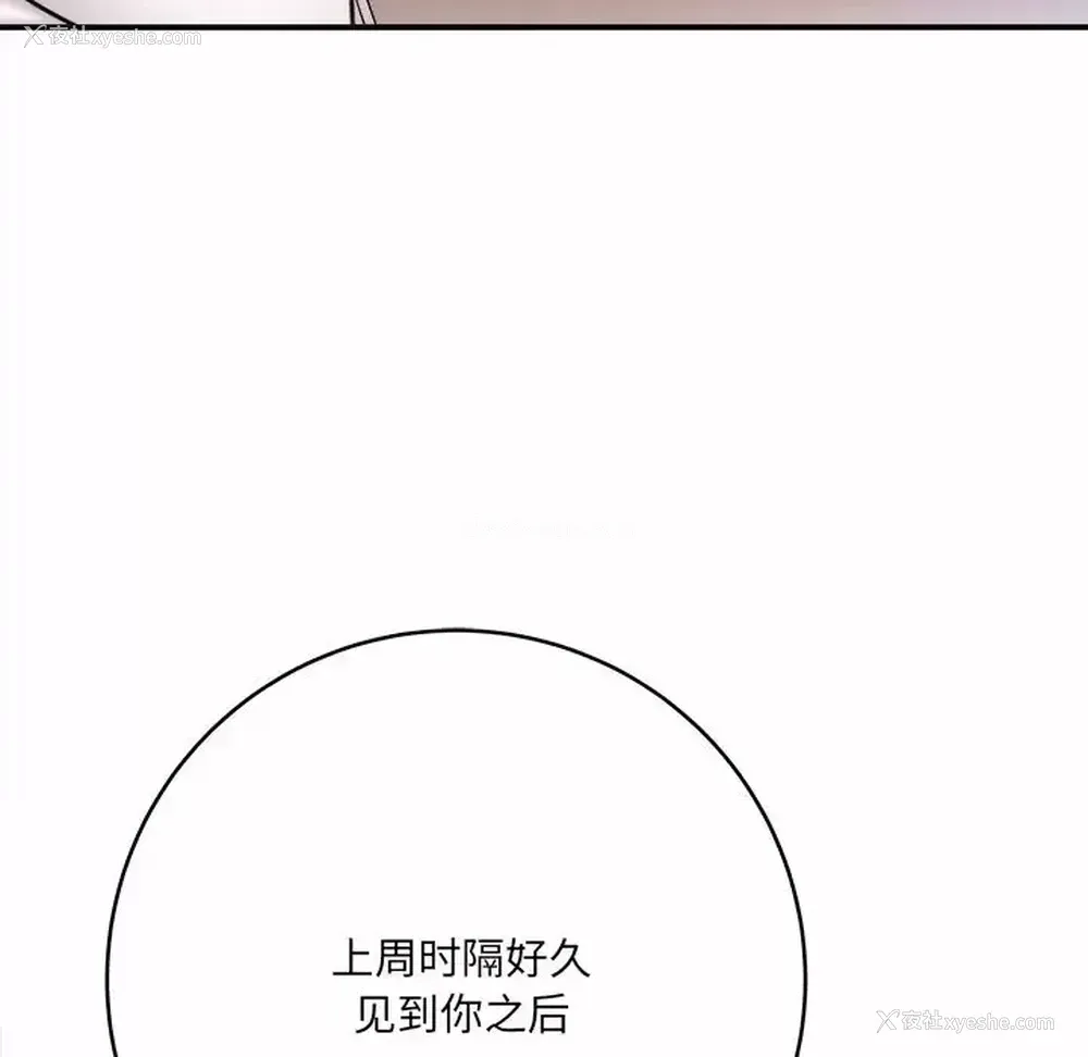 11P - 爱上助手