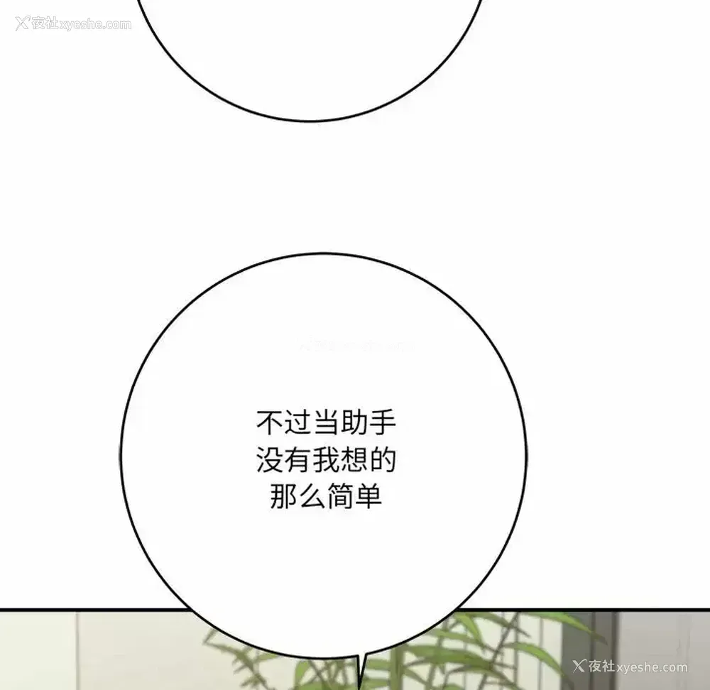 11P - 爱上助手