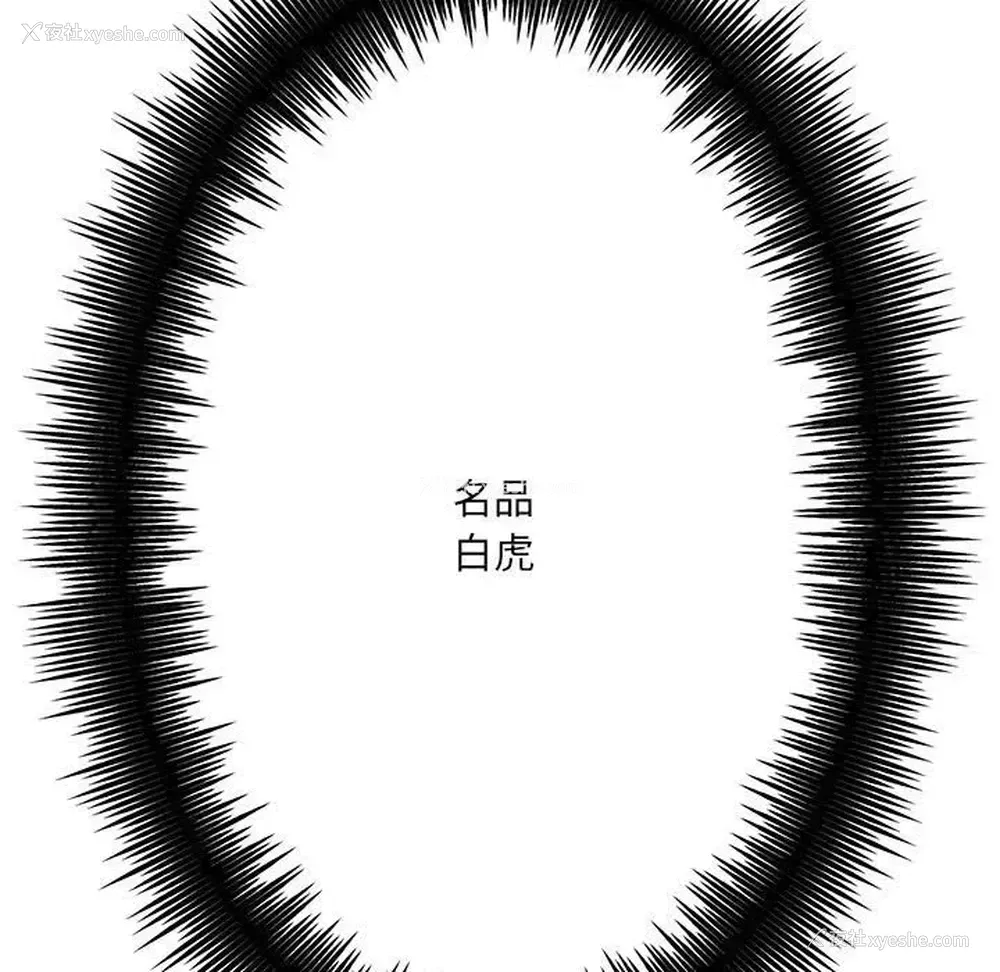 254P - 爱上助手