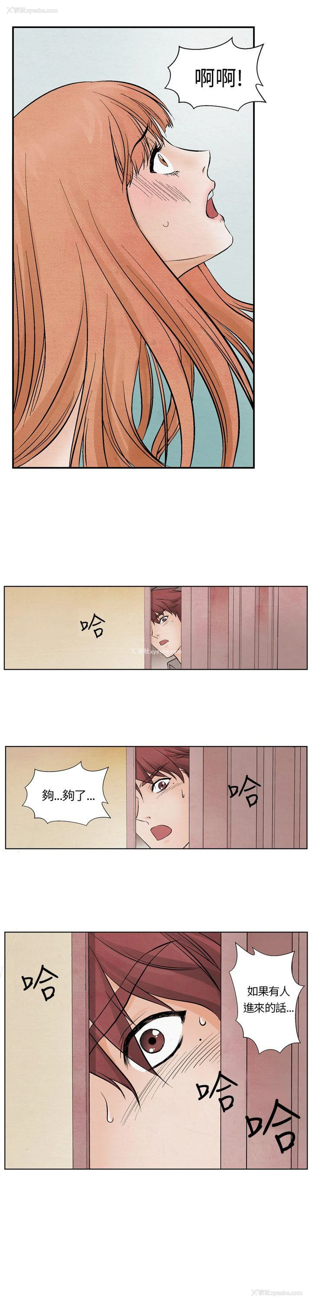 11P - 夜花