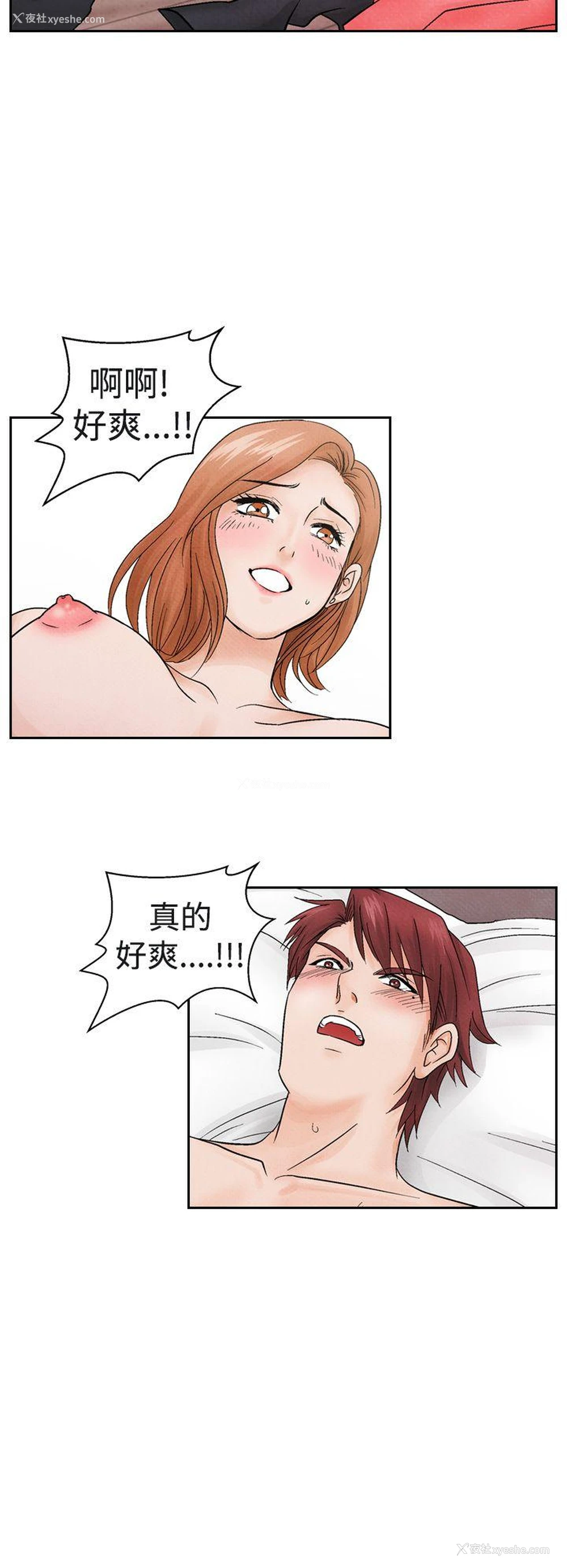 16P - 夜花