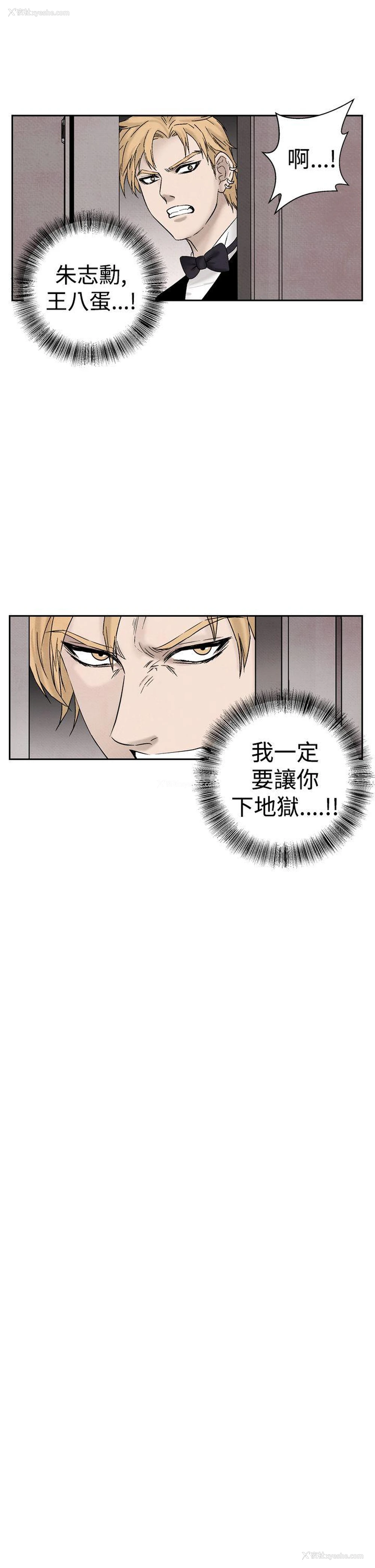 17P - 夜花