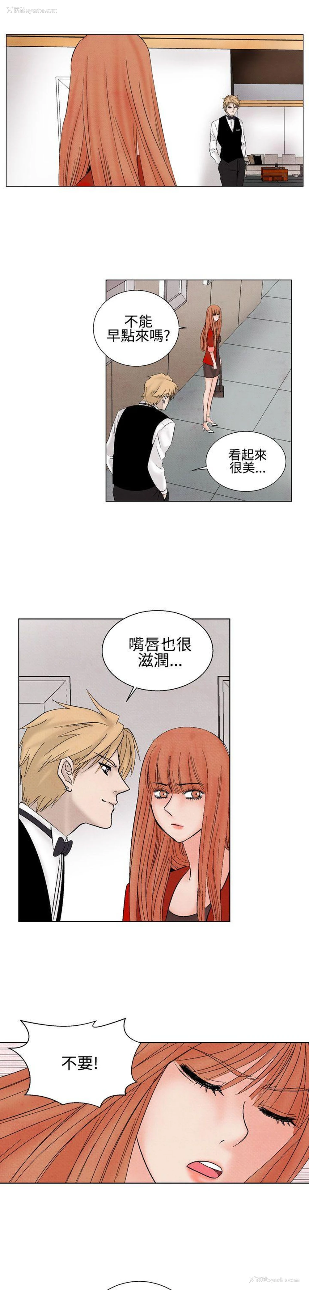 5P - 夜花