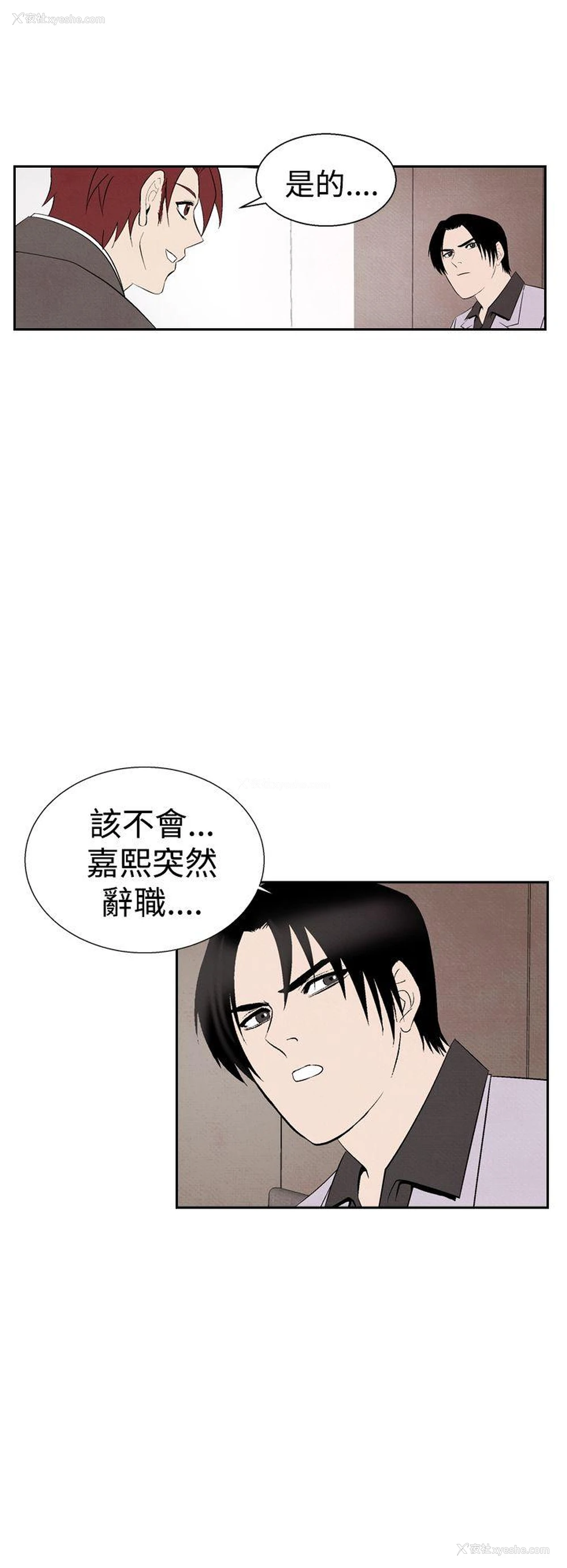 14P - 夜花