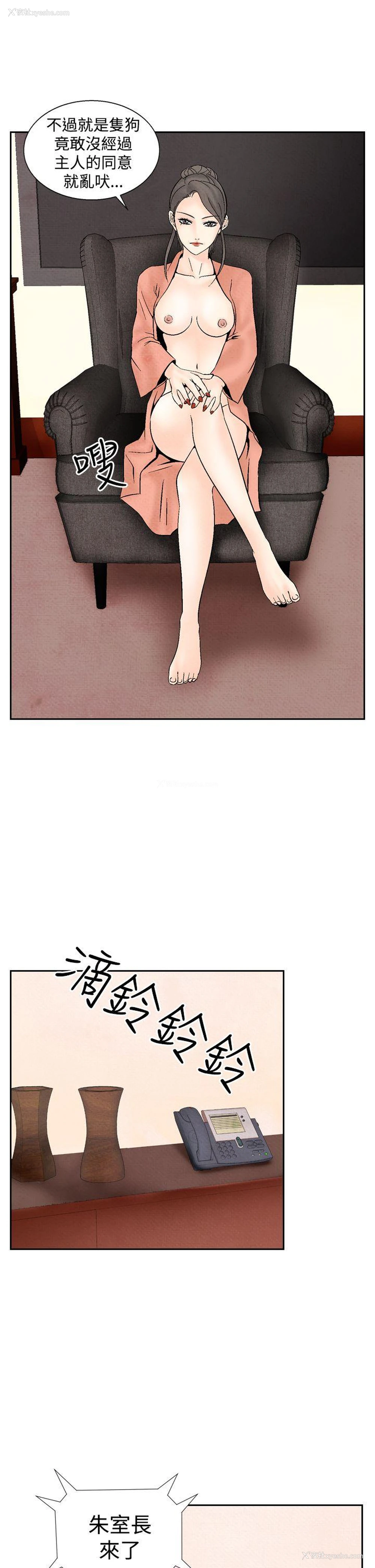 13P - 夜花