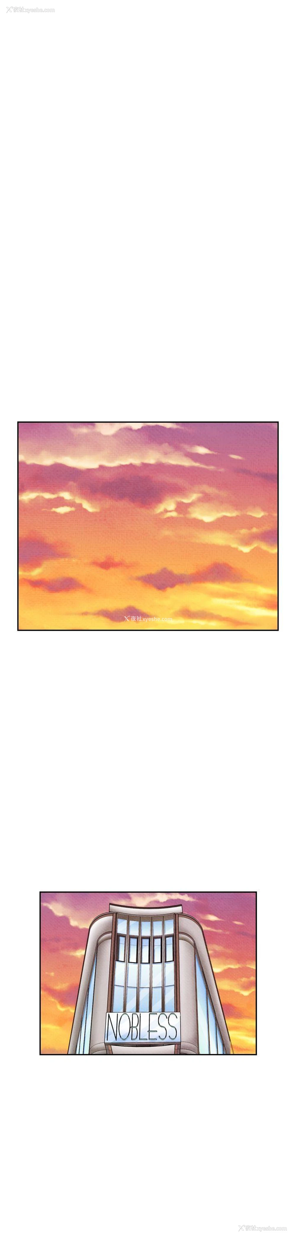 11P - 夜花