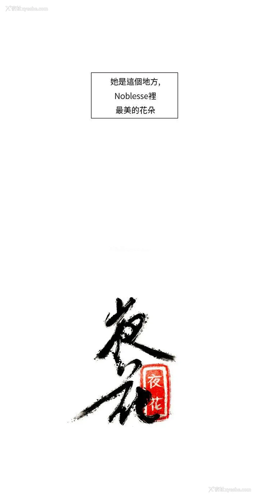 11P - 夜花