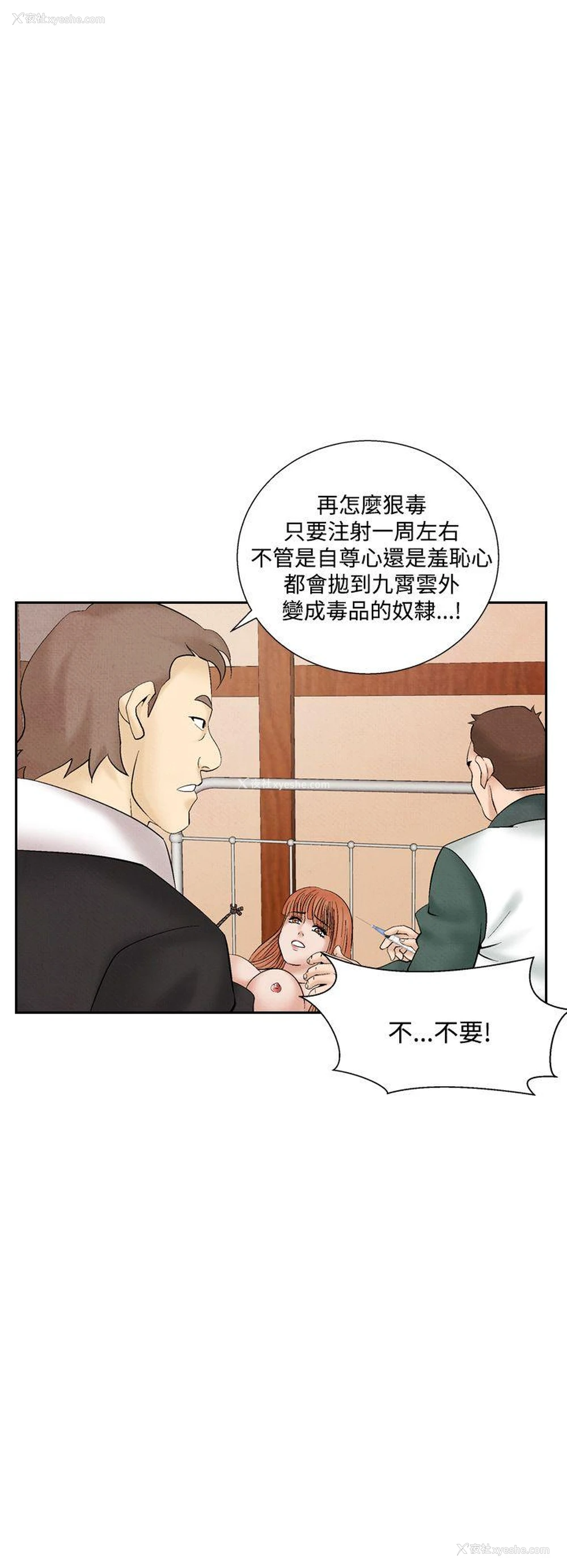 16P - 夜花