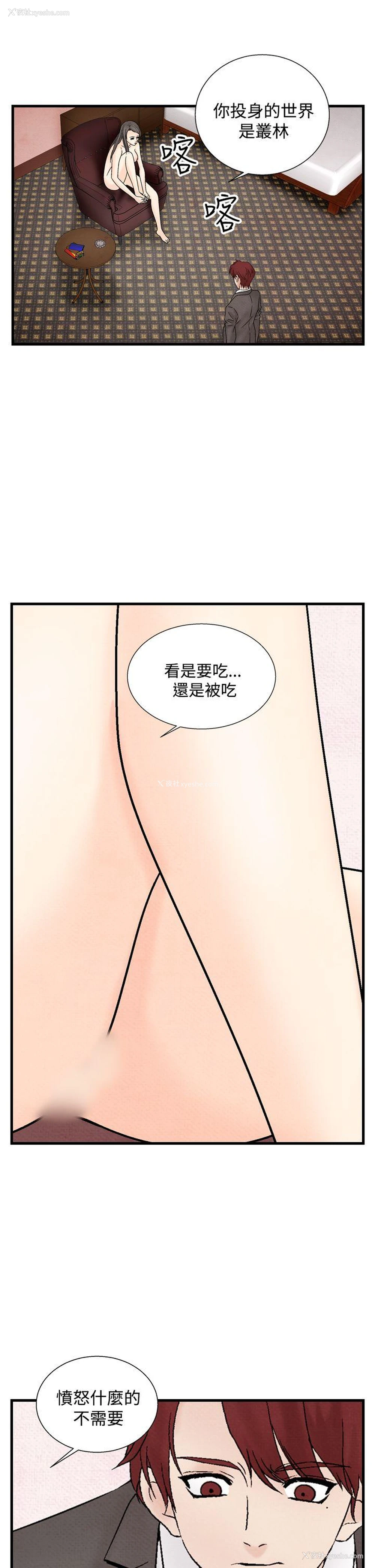 19P - 夜花