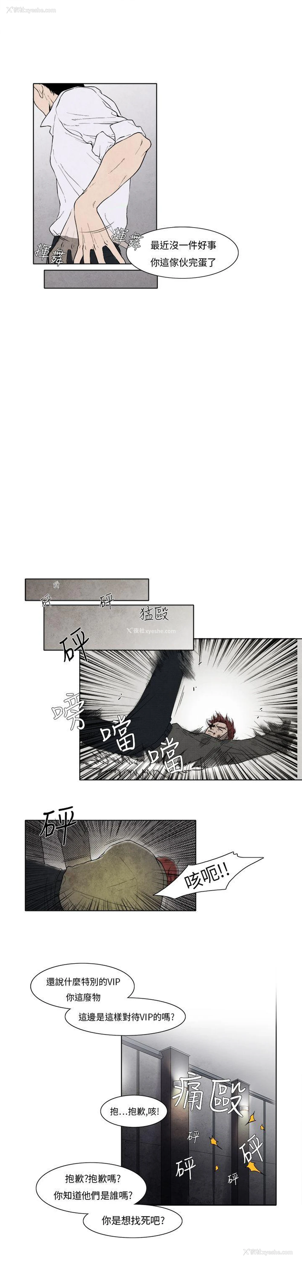 11P - 夜花