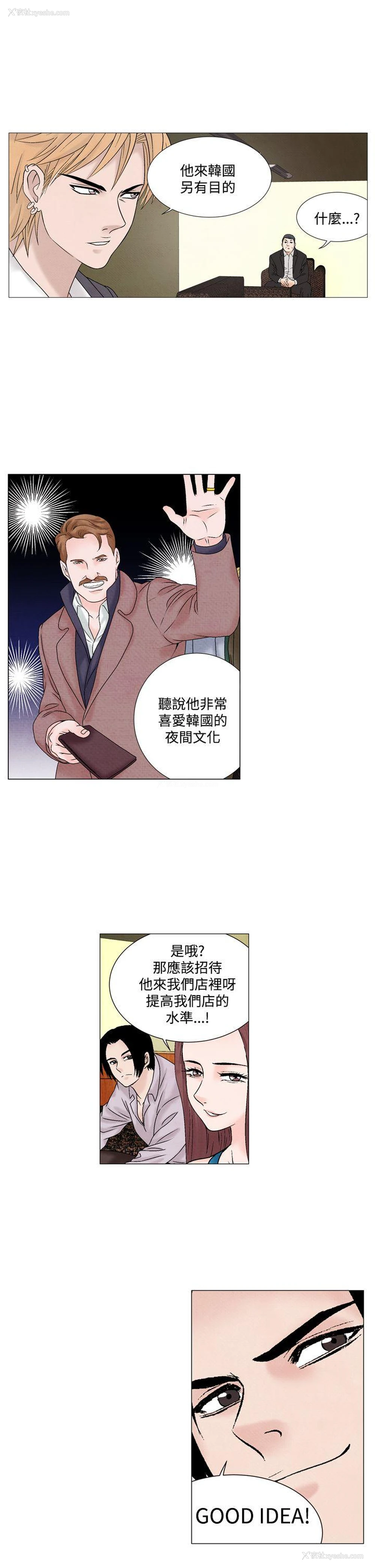 11P - 夜花