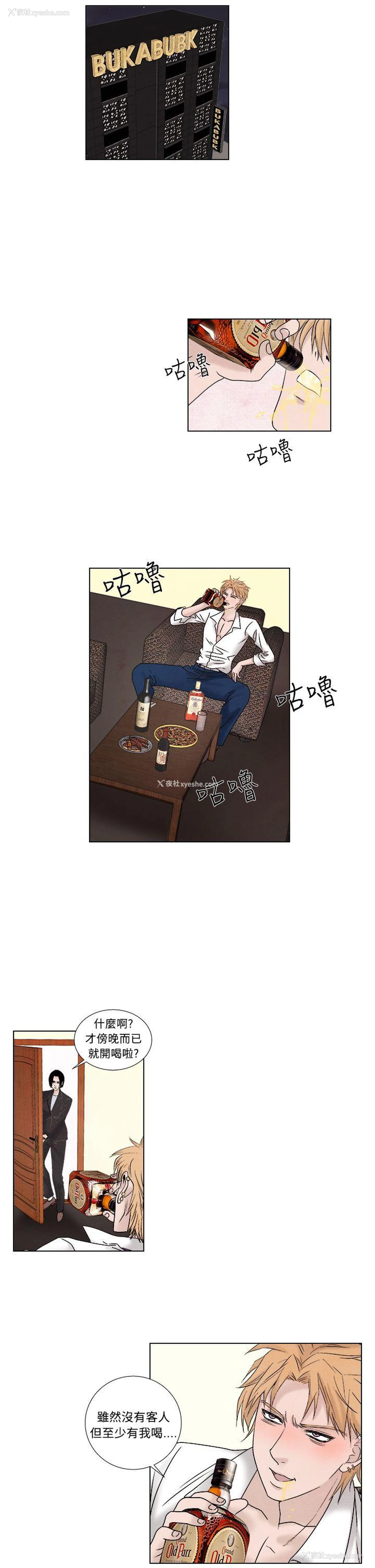 11P - 夜花