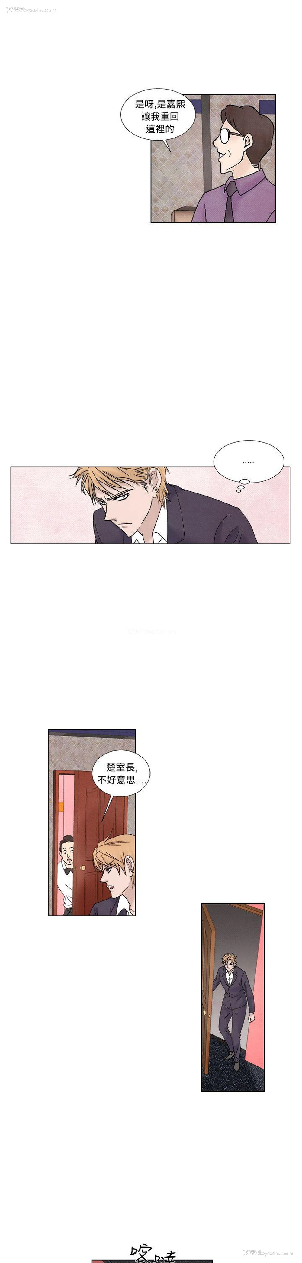 17P - 夜花