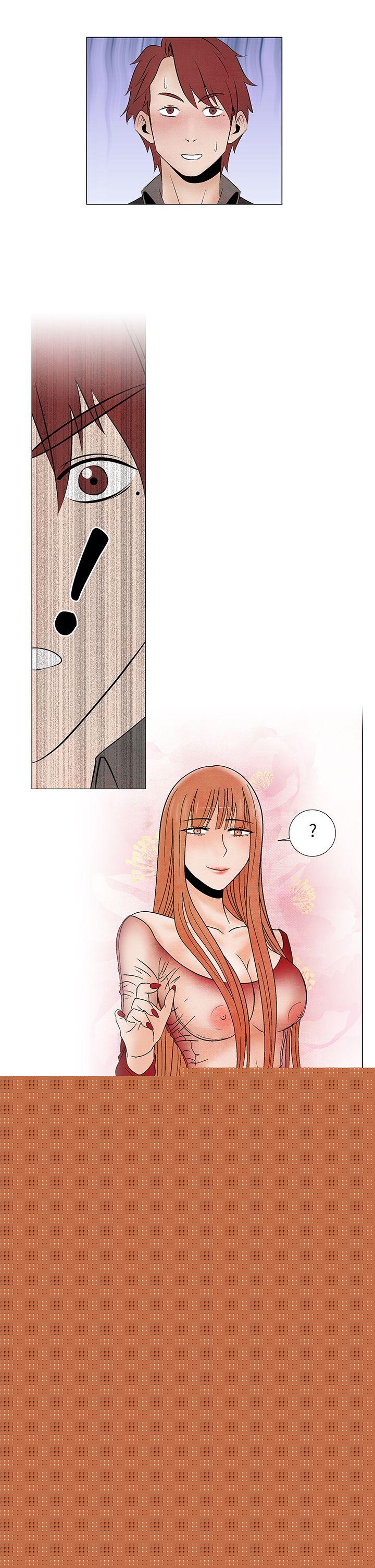 17P - 夜花