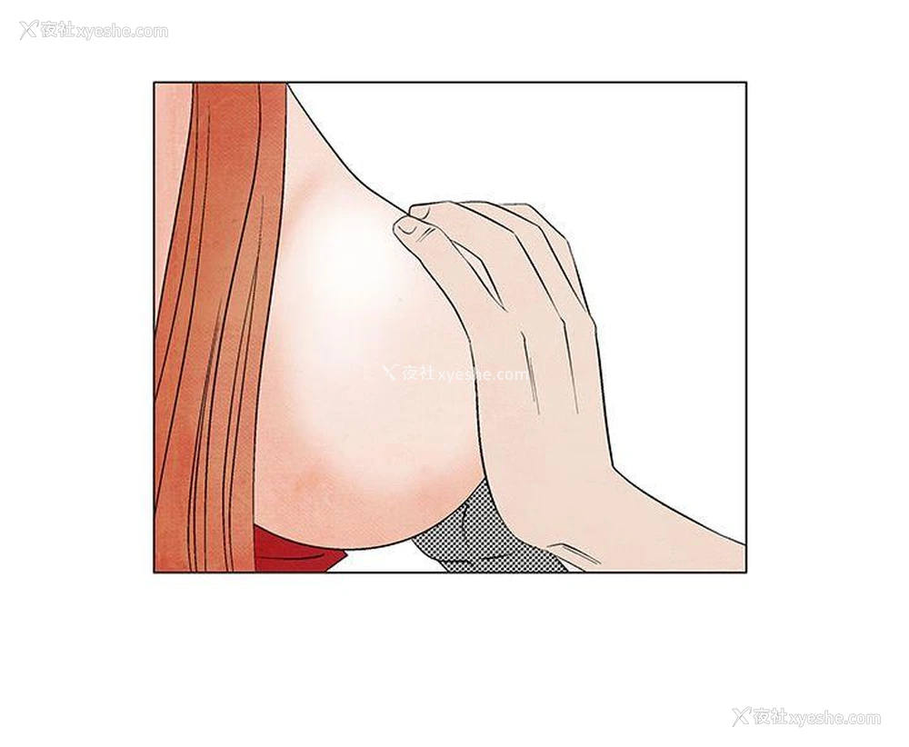 4P - 夜花