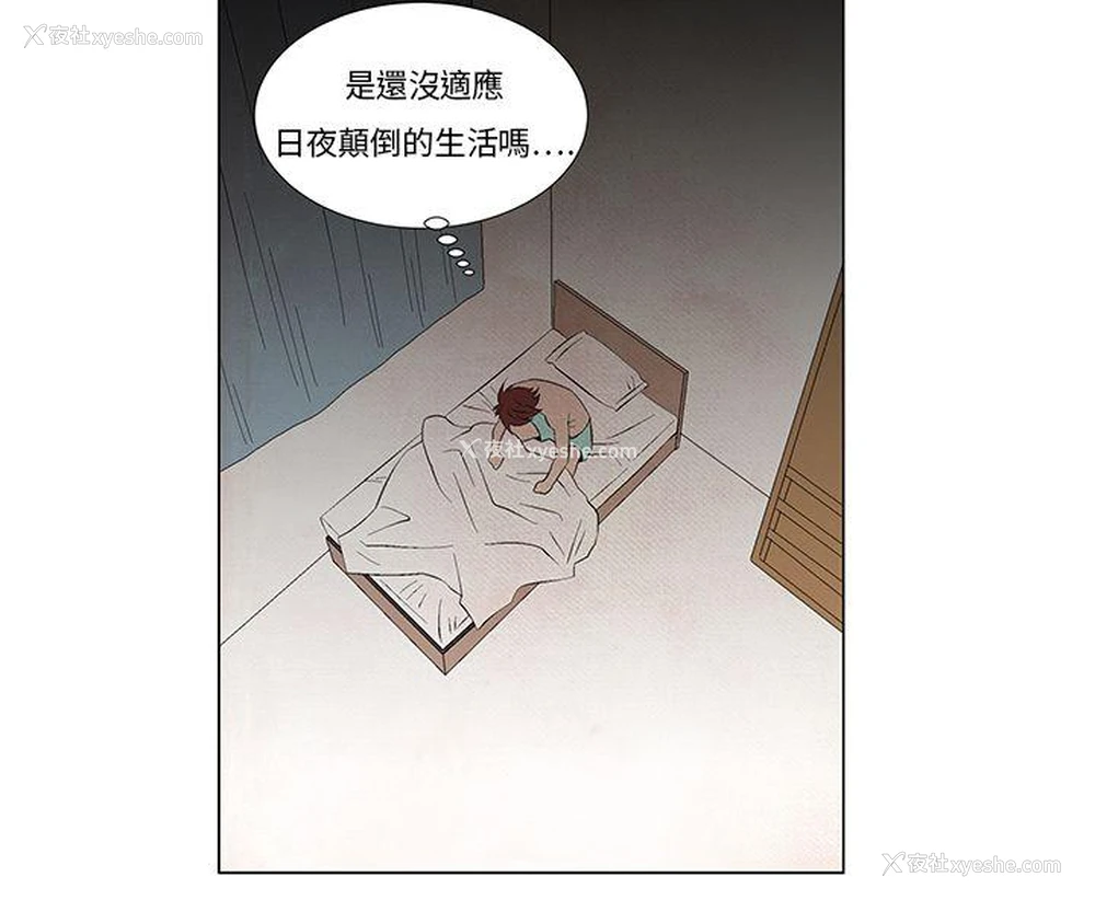 8P - 夜花